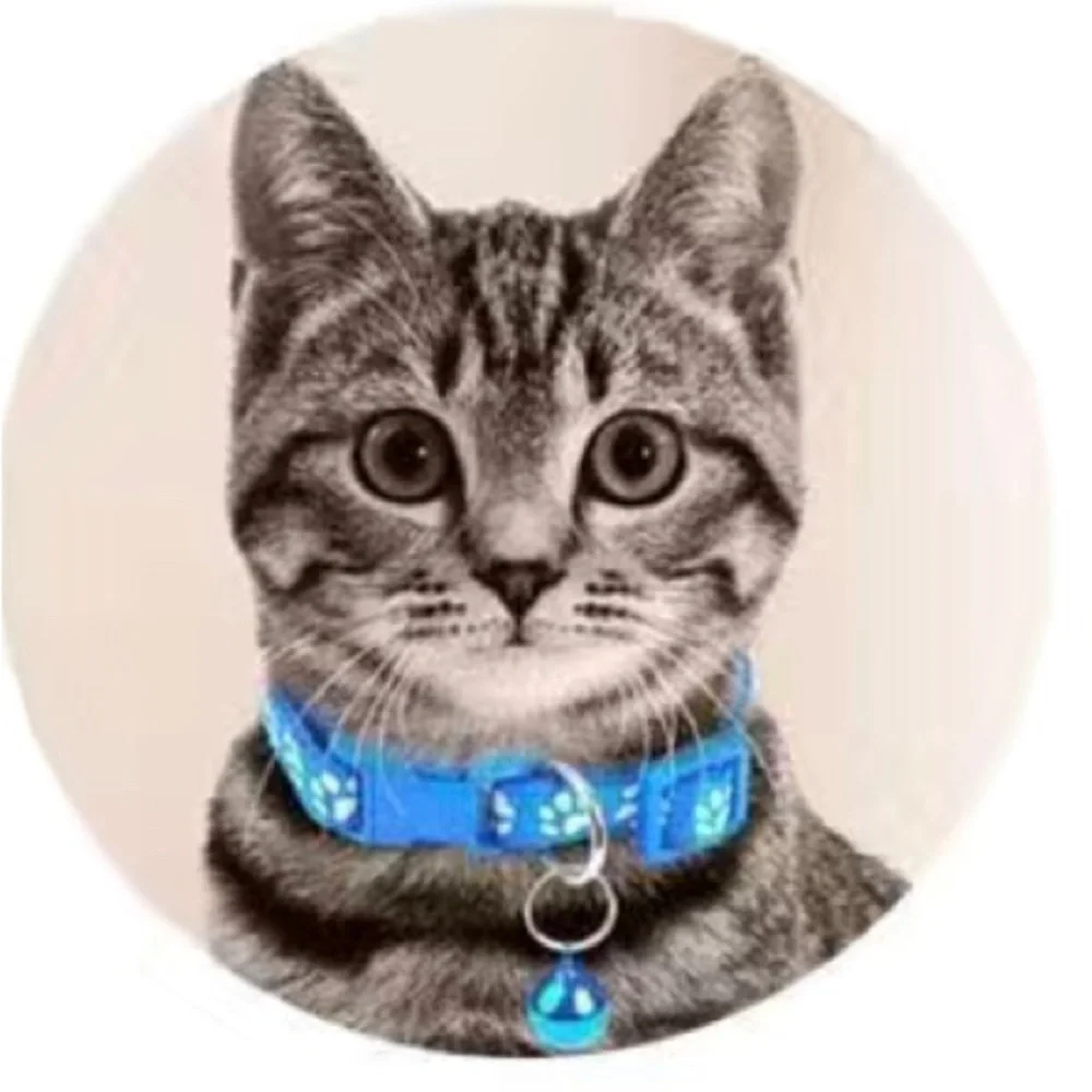 NWT footprint adjustable cat collar One size fits all in pink color
